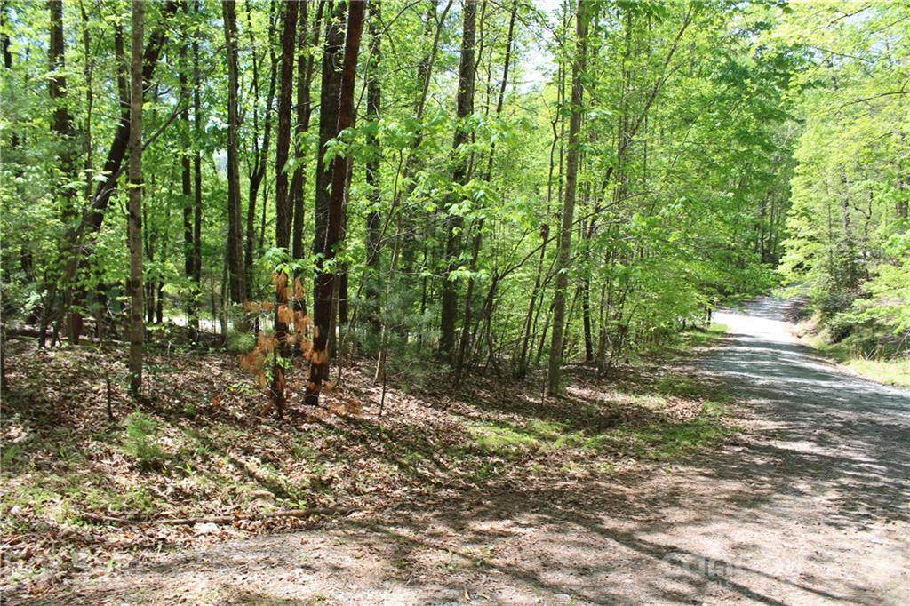 Lot 369 Mallard Road - Photo 1