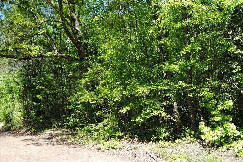LOT 1 Old Chisolm Road - Photo 1