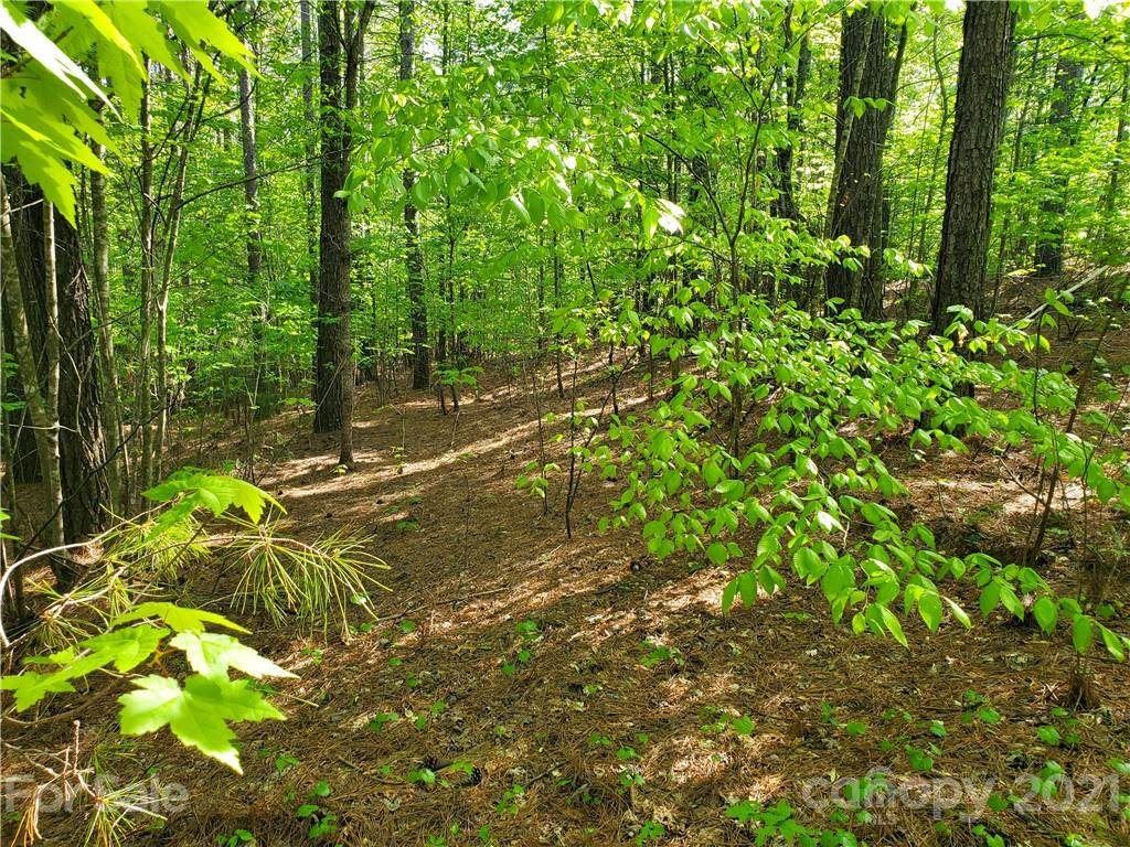 0 Hidden Lake Parkway - Photo 1