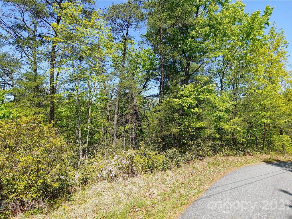 LOTS 1,3,4,8 Hawthorne Drive - Photo 1