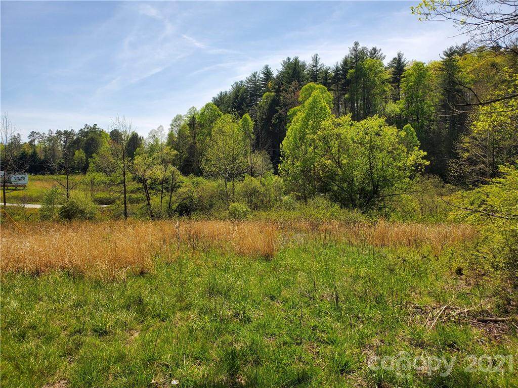 1299 Asheville Highway - Photo 1