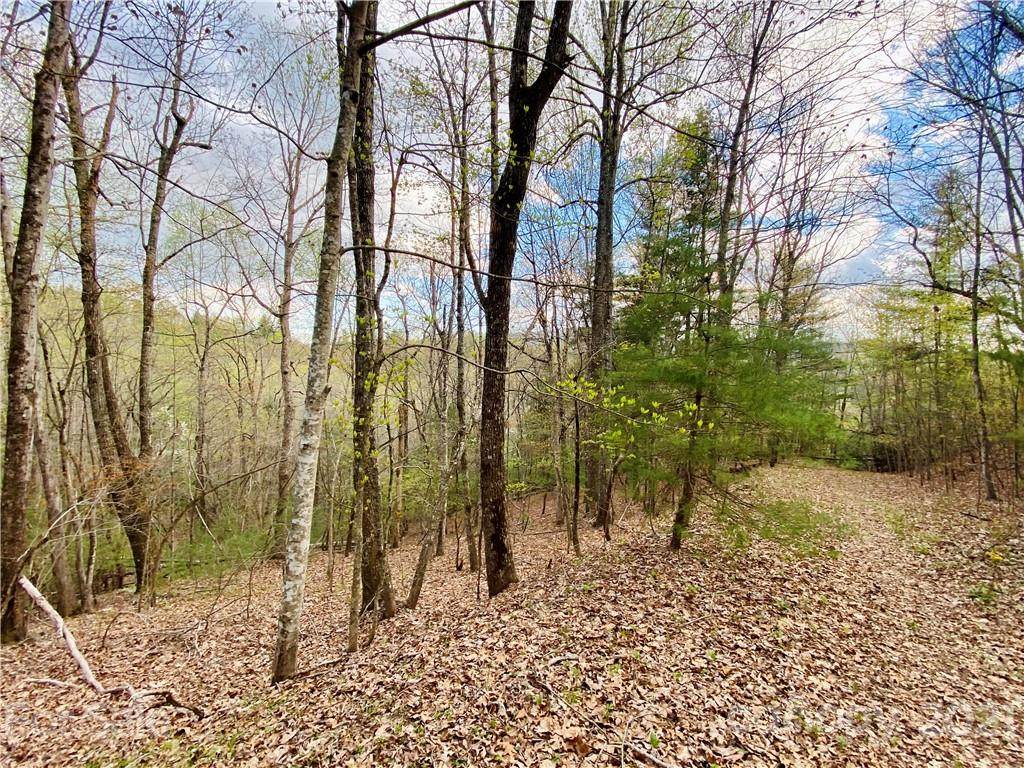 1419 Rambling Oaks Trail - Photo 1