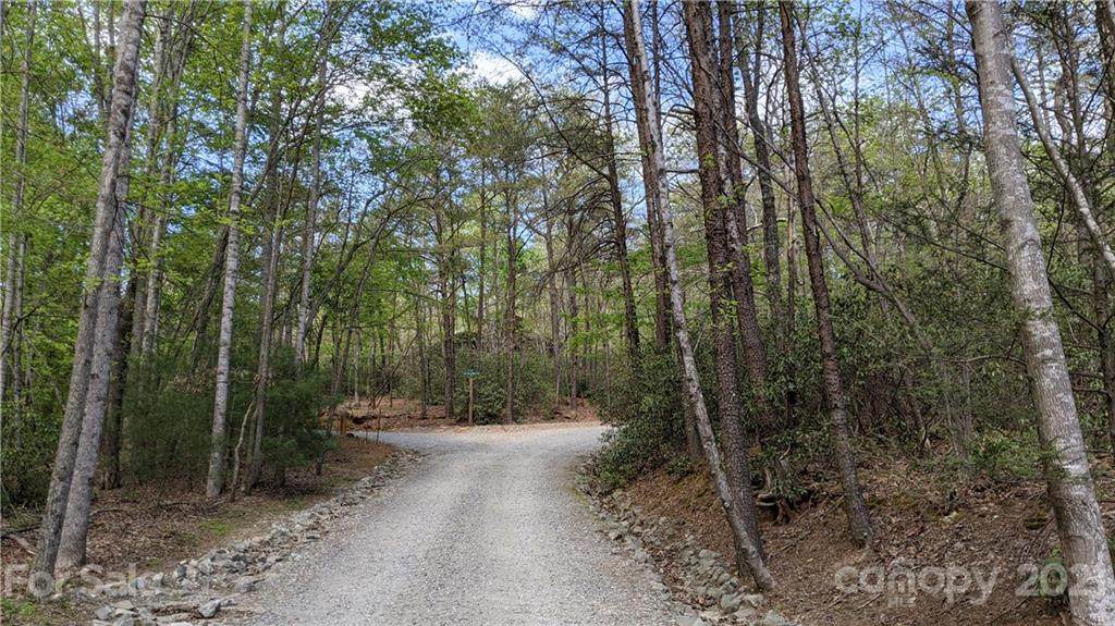 #133 Wilderness Road - Photo 1