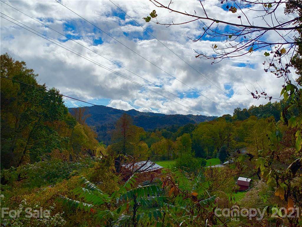00 Will Arrington Road - Photo 1