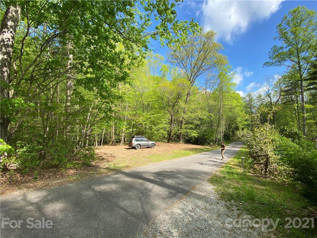 00000 Mountain Laurel Lane - Photo 1