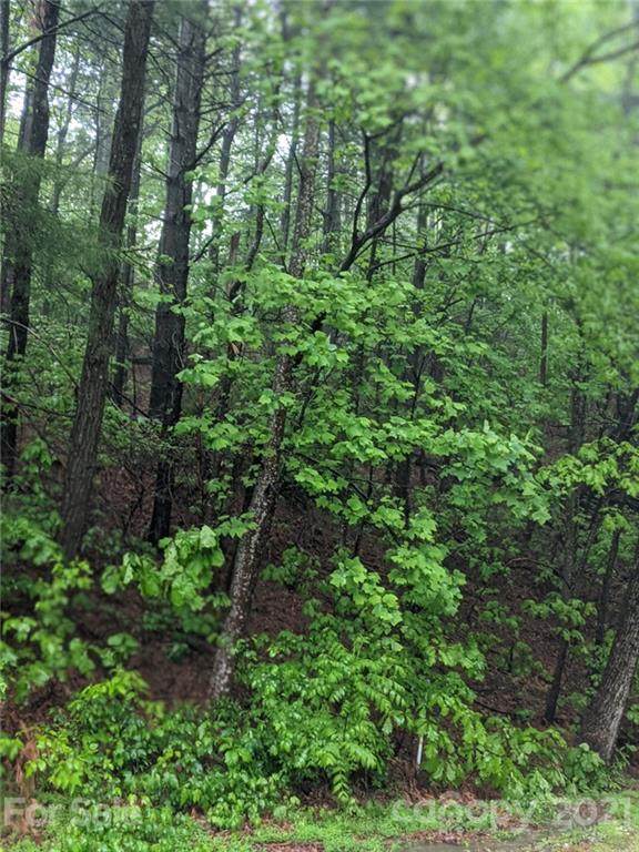 0 Melrose Mountain Road - Photo 1