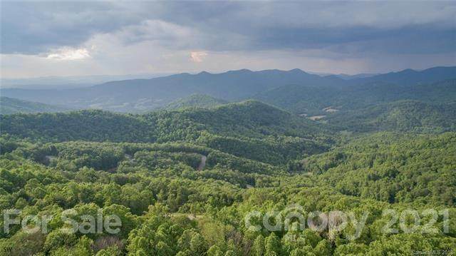 1300 Elk Mountain Scenic Highway - Photo 1