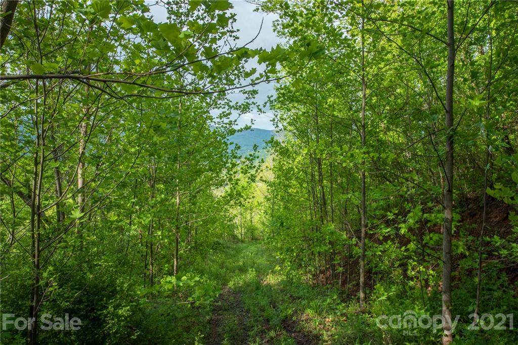 5 Jacobs Ladder Lane - Photo 1