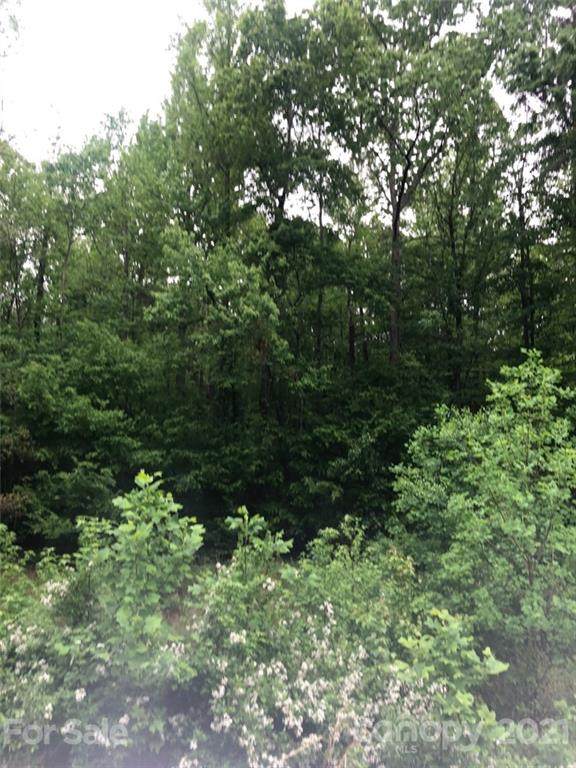 Lot 1 River Birch Drive - Photo 1