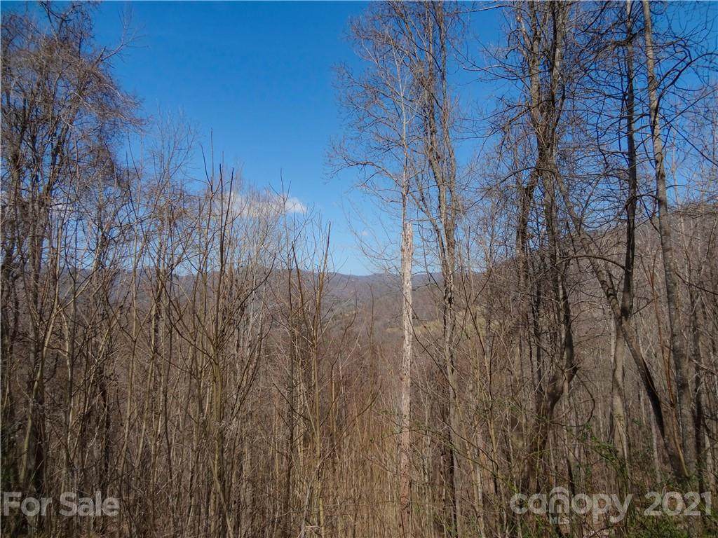 TBD Elliotts Loop - Photo 1