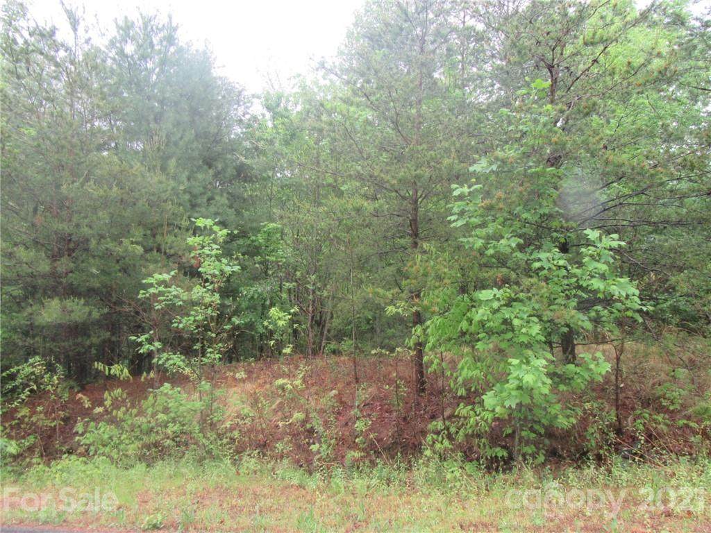 3163 Lake Drive - Photo 1