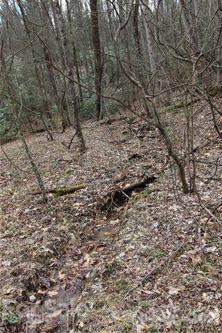 0001 Patton Ridge Road - Photo 1
