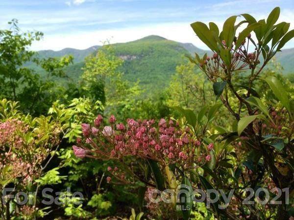 00 High Rock Ridge - Photo 1