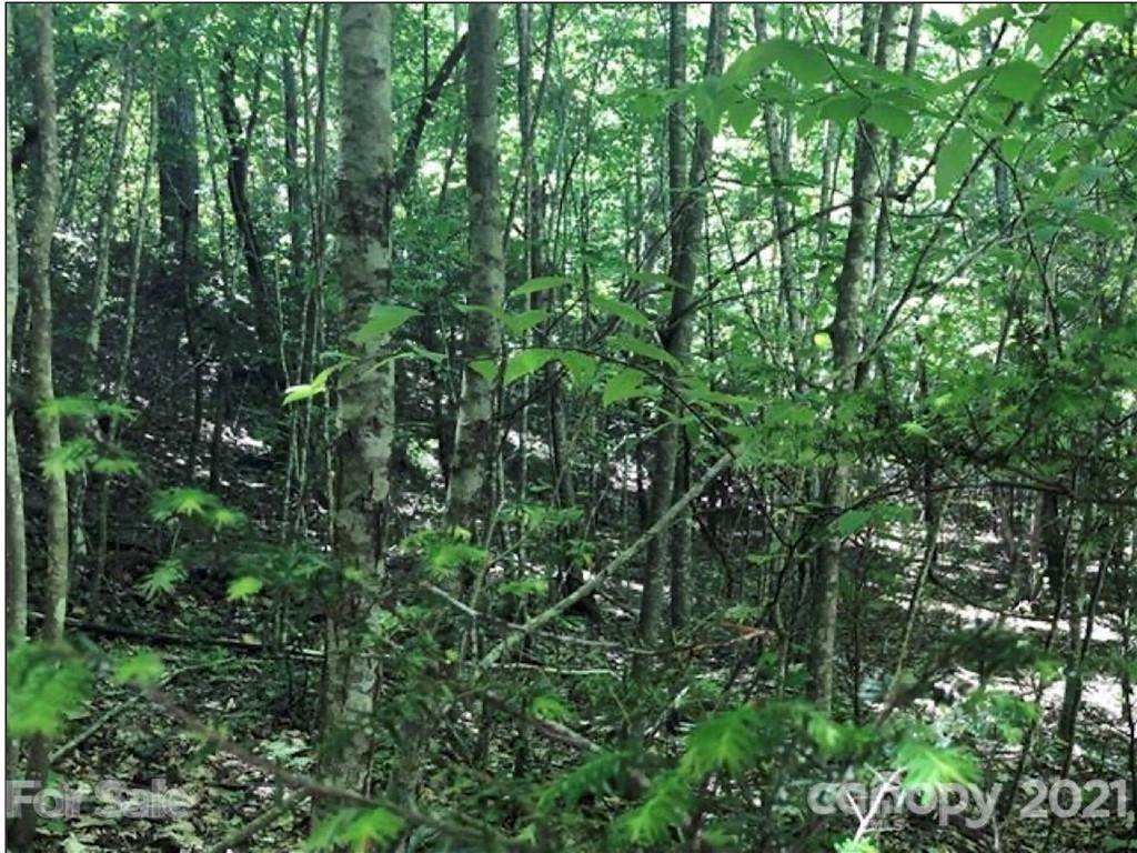 LOT 57 Clear Spring Trail - Photo 1