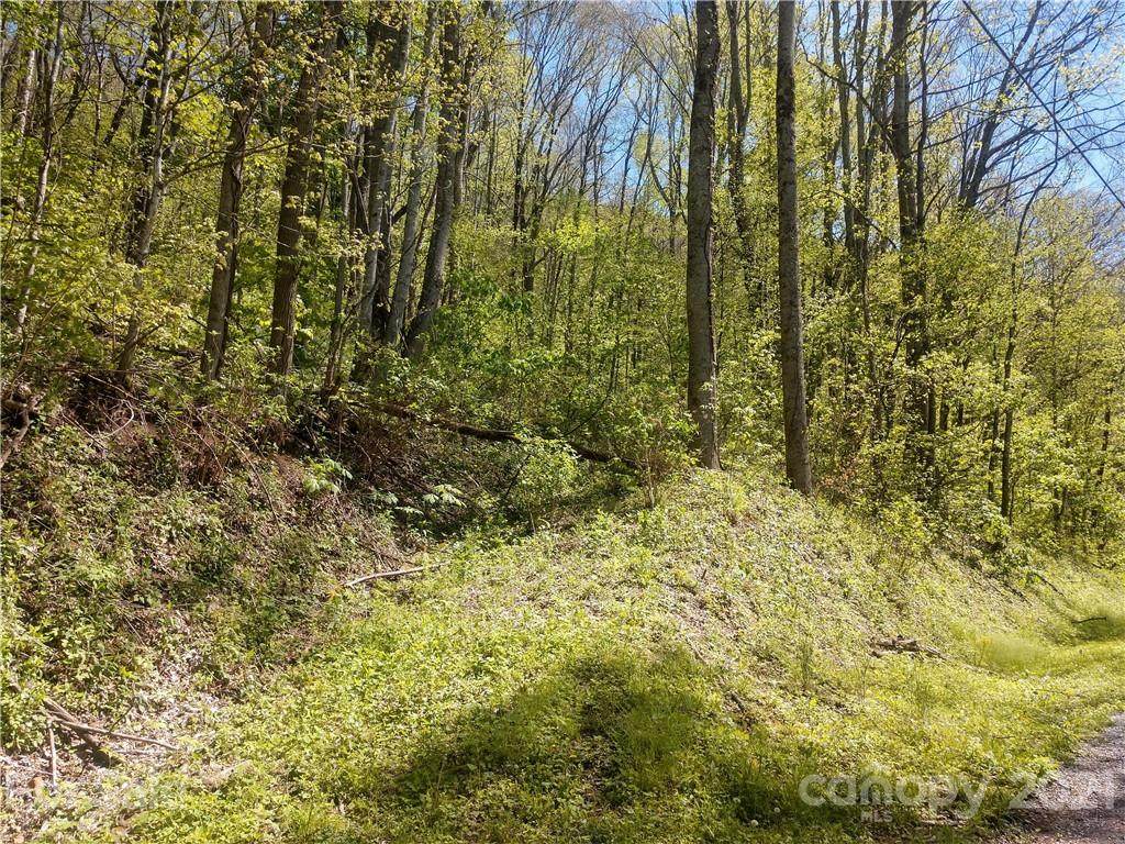 00 Old Country Road - Photo 1