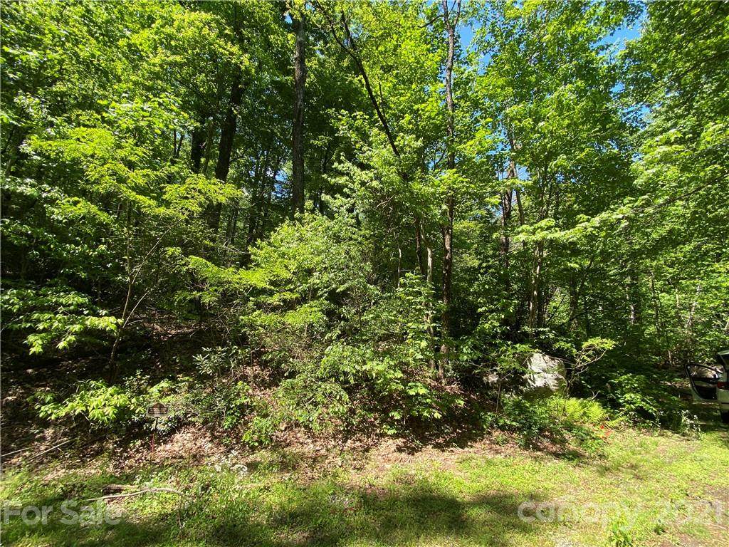 731 Quail Ridge Road - Photo 1