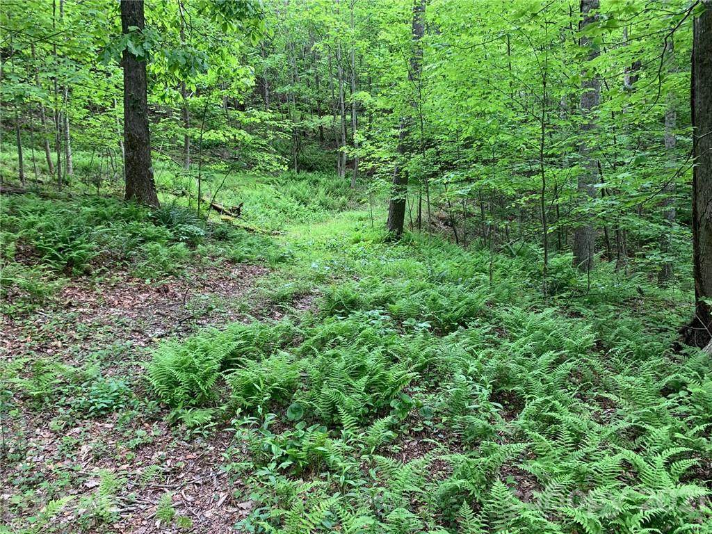 221 Soapstone Creek Drive - Photo 1