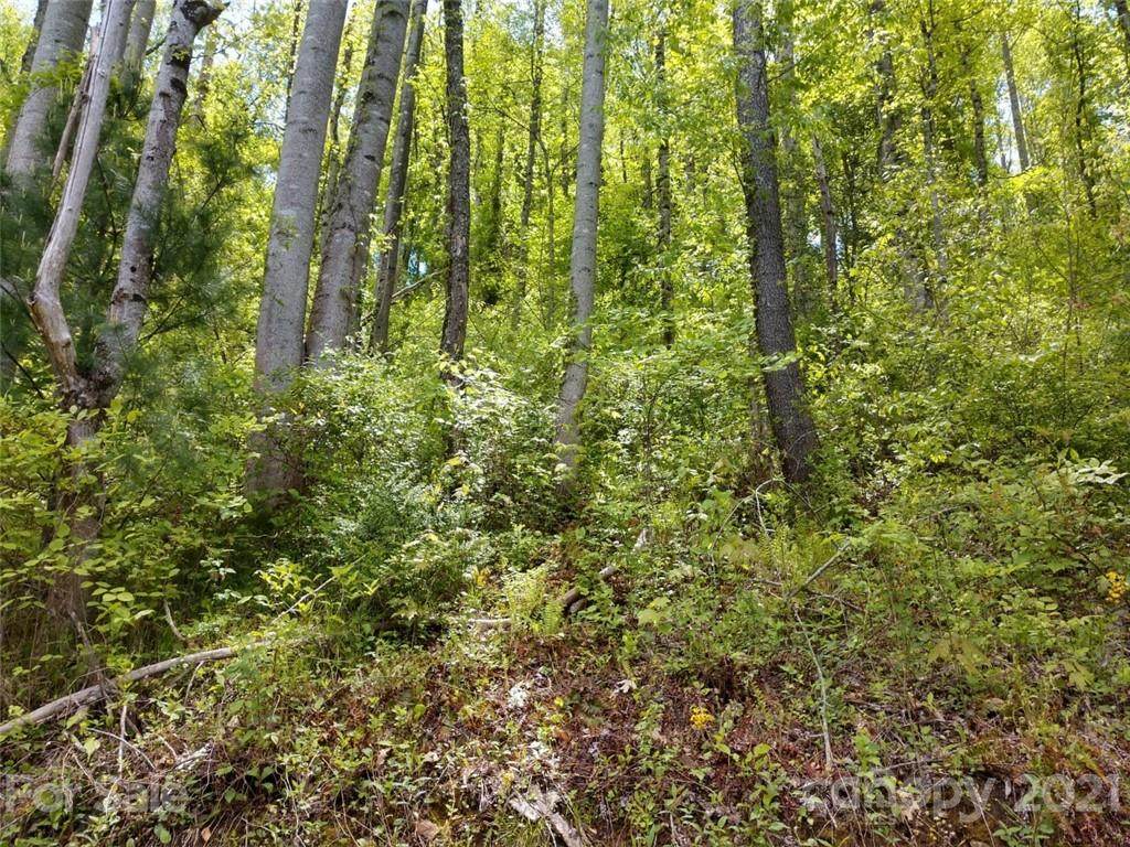 00 Lloyds Mountain Ridge - Photo 1