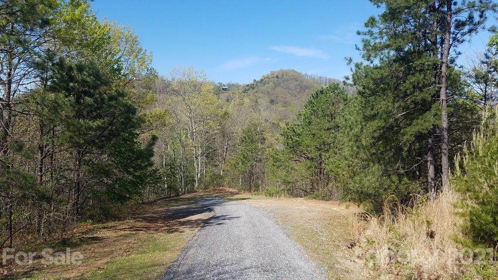 00 Laurel Branch Road - Photo 1
