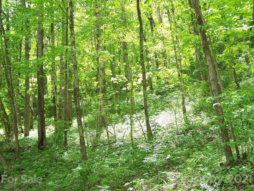 #7A Chestnut Flats Lane - Photo 1