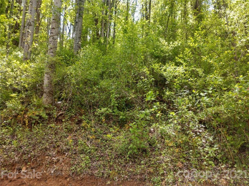 00 Lloyds Mountain Ridge - Photo 1