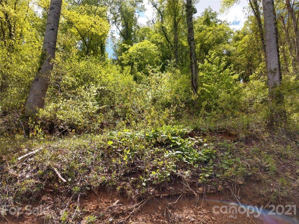 00 Lloyds Mountain Ridge - Photo 1