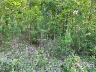 0 Bent Tree Drive - Photo 1