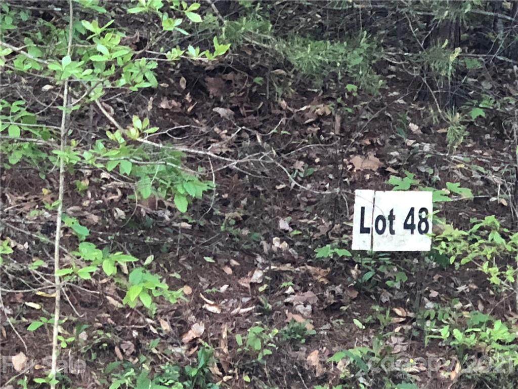 263 Falling Leaves Lane - Photo 1