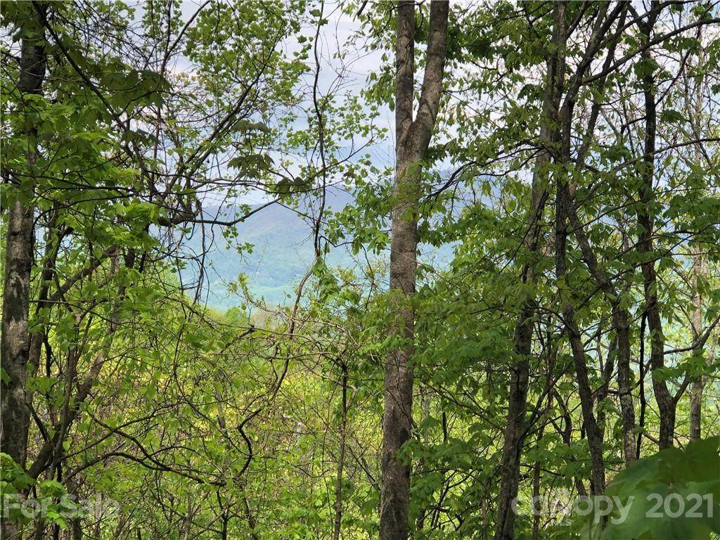 LOT 30 226 High Line Road - Photo 1