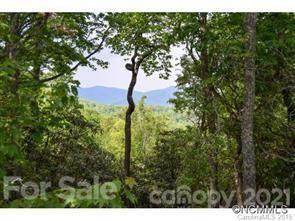 936 Mills River Way - Photo 1