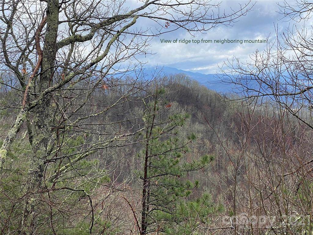0 Grassy Branch Road - Photo 1
