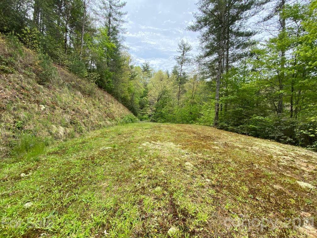 0 Double Springs Road - Photo 1