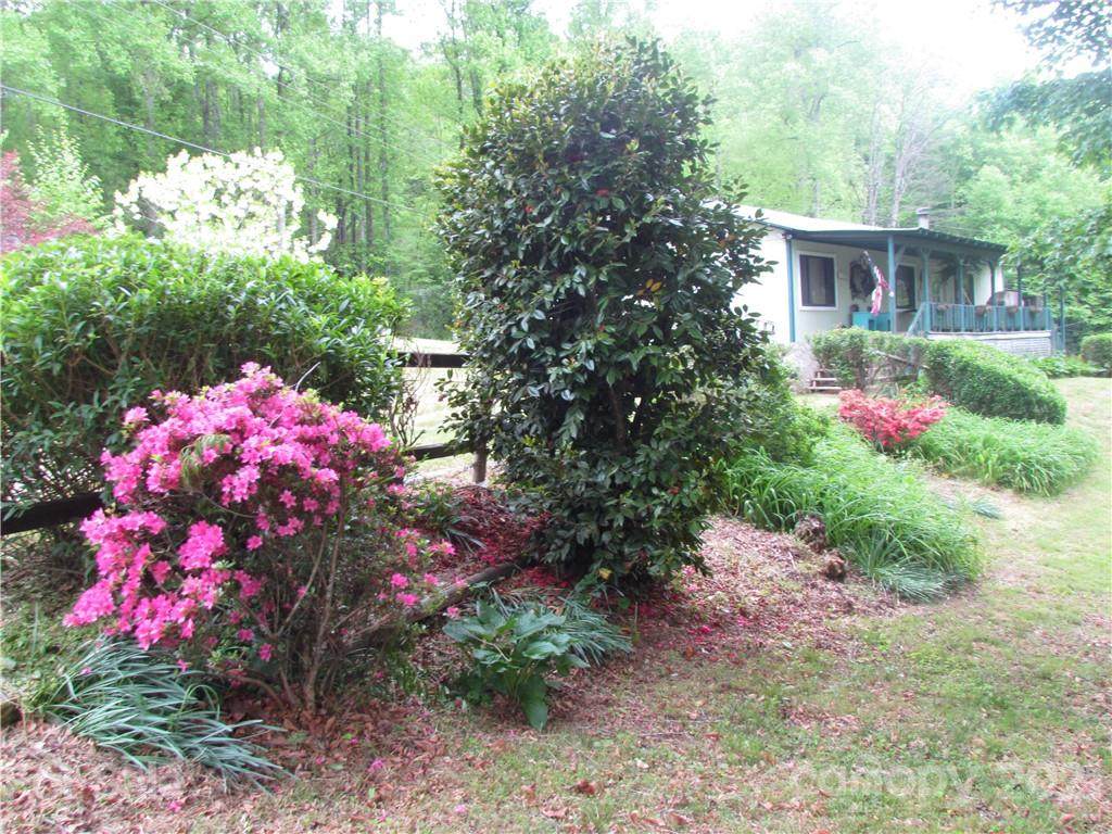 2118 Lamb Mountain Road - Photo 1