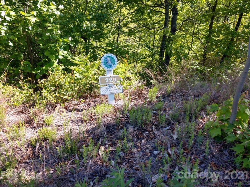 2109 Catawba Falls Parkway - Photo 1