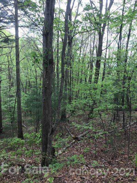 Lot 3 Roberts Mountain Road - Photo 1