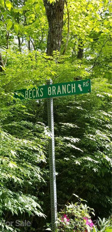 00 Becks Branch Road - Photo 1