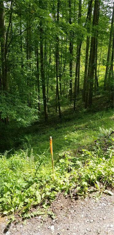 00 Dickinson Road - Photo 1