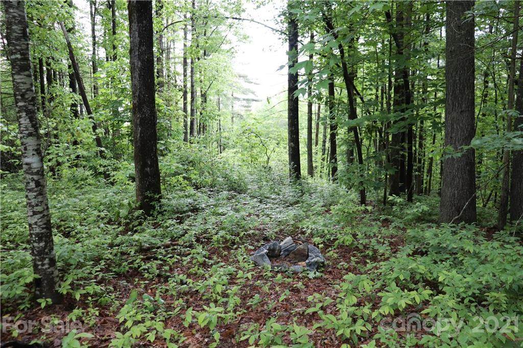 0 Birch Lane - Photo 1