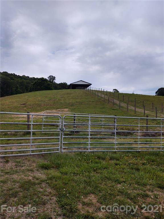 800 Cooter Hollow Road - Photo 1