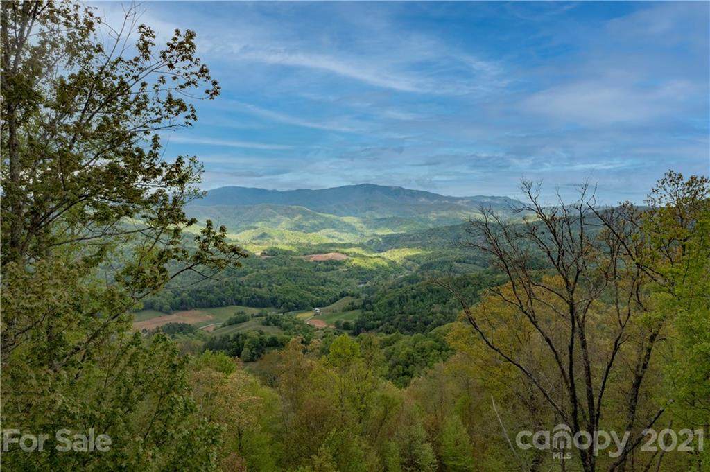 00 Hyacinth Drive - Photo 1