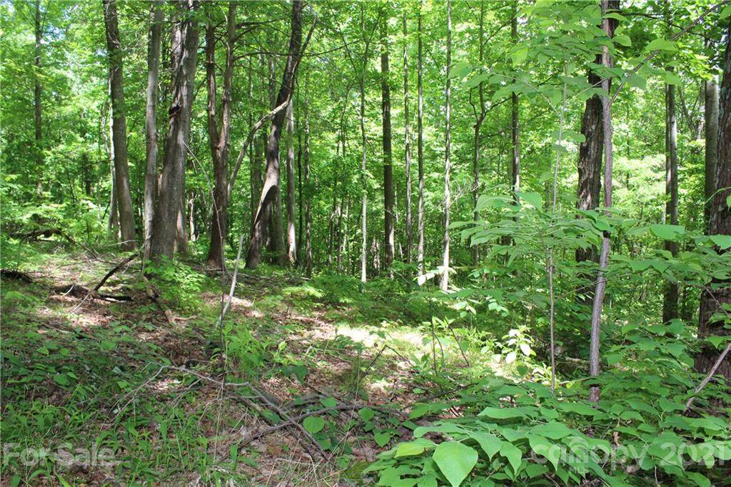 Lot 9 High Road Court - Photo 1