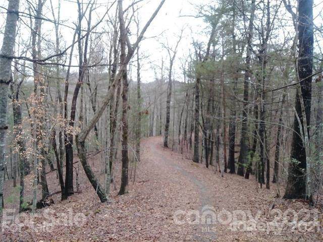 TBD Wellspring Way - Photo 1