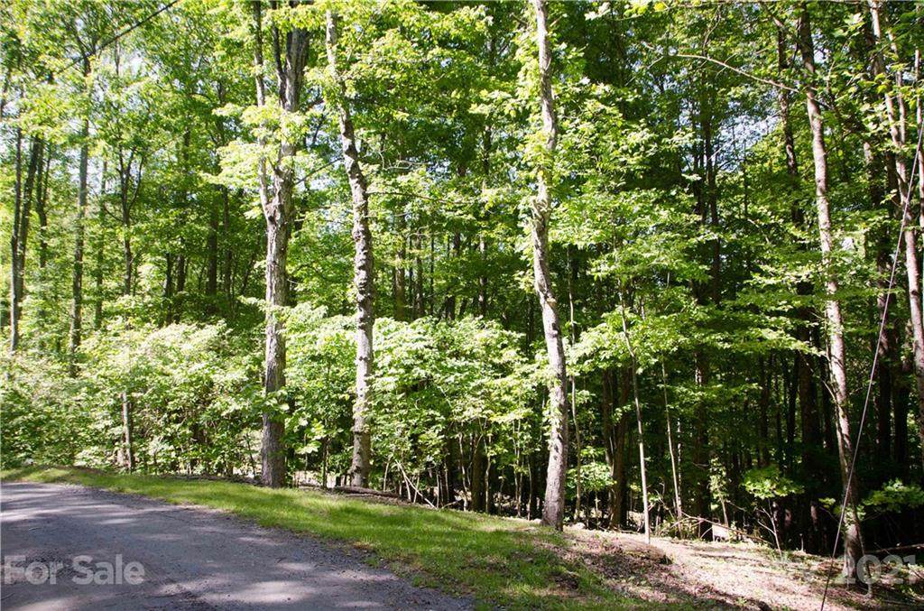 000 Hickory Springs Road - Photo 1