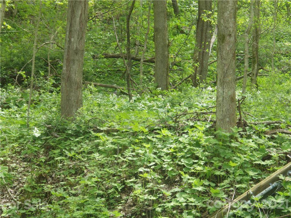 00 Evergreen Farm Circle - Photo 1