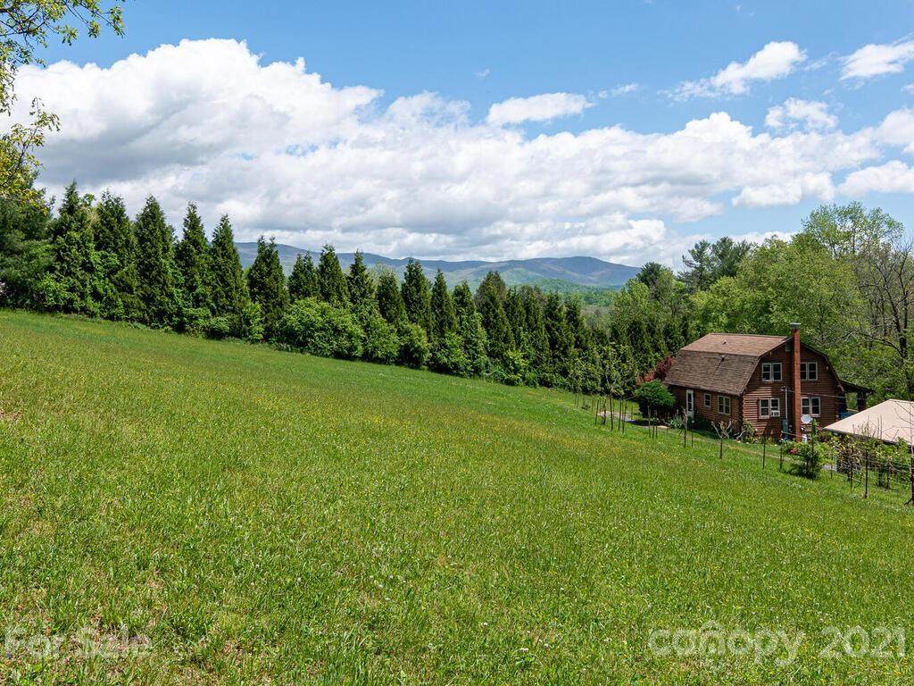 2001 Cane Creek Road - Photo 1