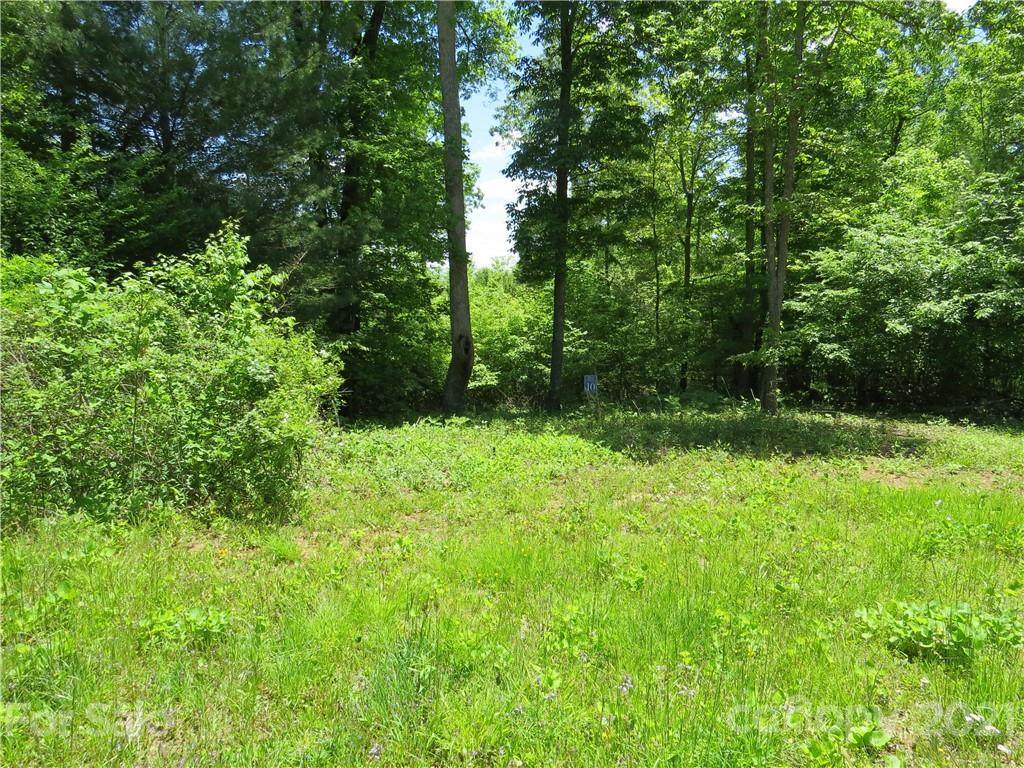 10 High Peak Ridge - Photo 1