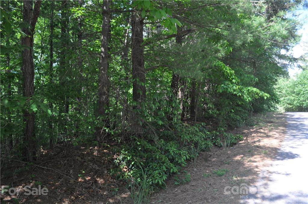 701 Chestnut Trail - Photo 1