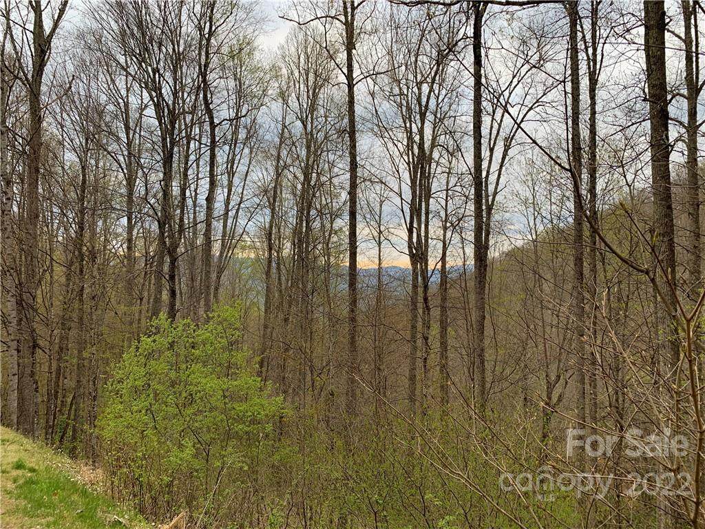 159 Dry Spring Loop - Photo 1