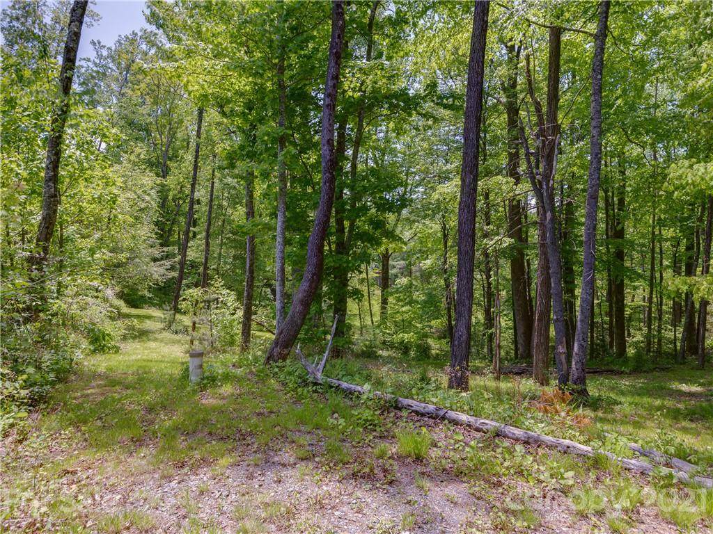 Lots 10,11 & 12 Springwater Drive - Photo 1