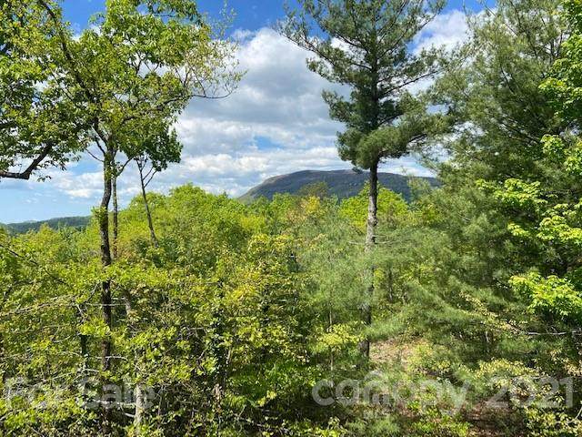 HM 48 Quartz Mine Road - Photo 1